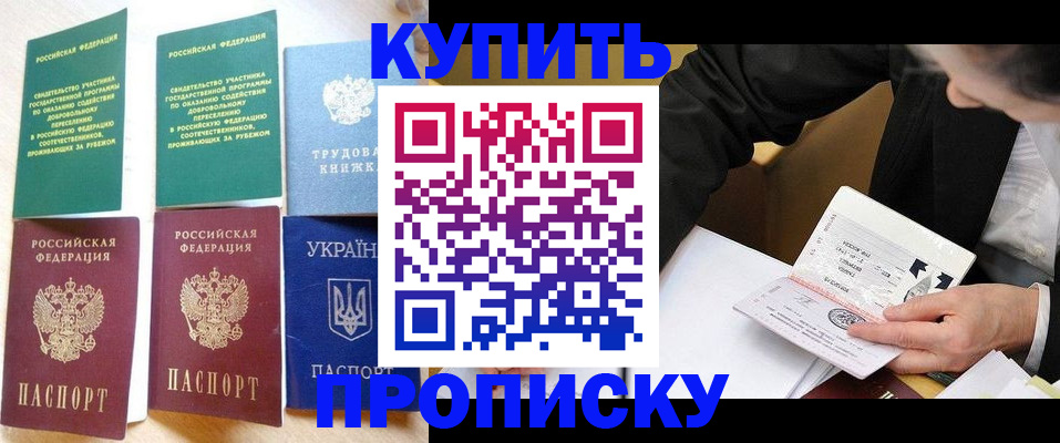 прописка для школы в Лосино-Петровском